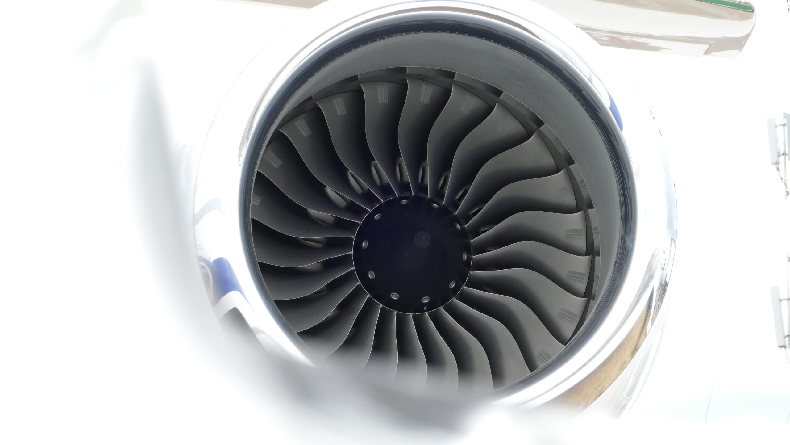 45362191905_4cd34d3067_o-scaled