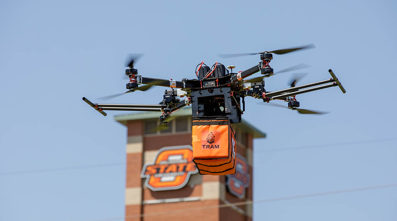 53013487078_273a32ae9c_c