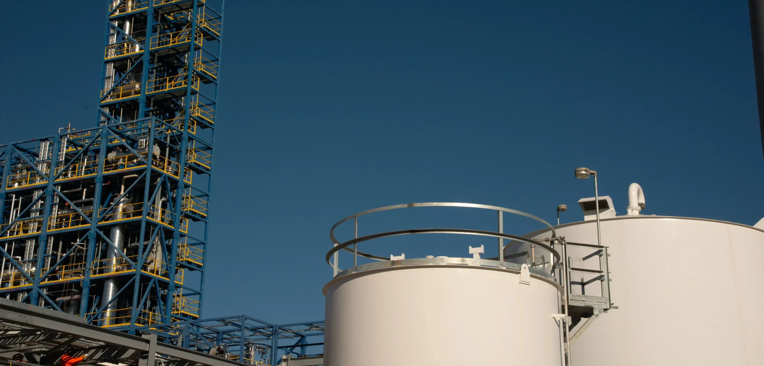 DSC_8697.jpg-scaled-e1706186340500