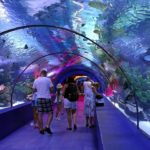 aquarium-adobestock_89941573-min