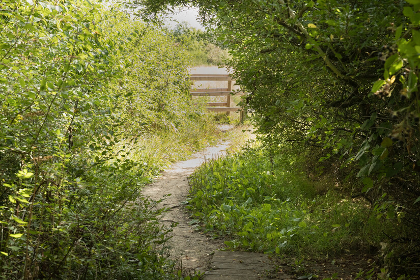 britishairways_4bcf9a089fc1c_thumb