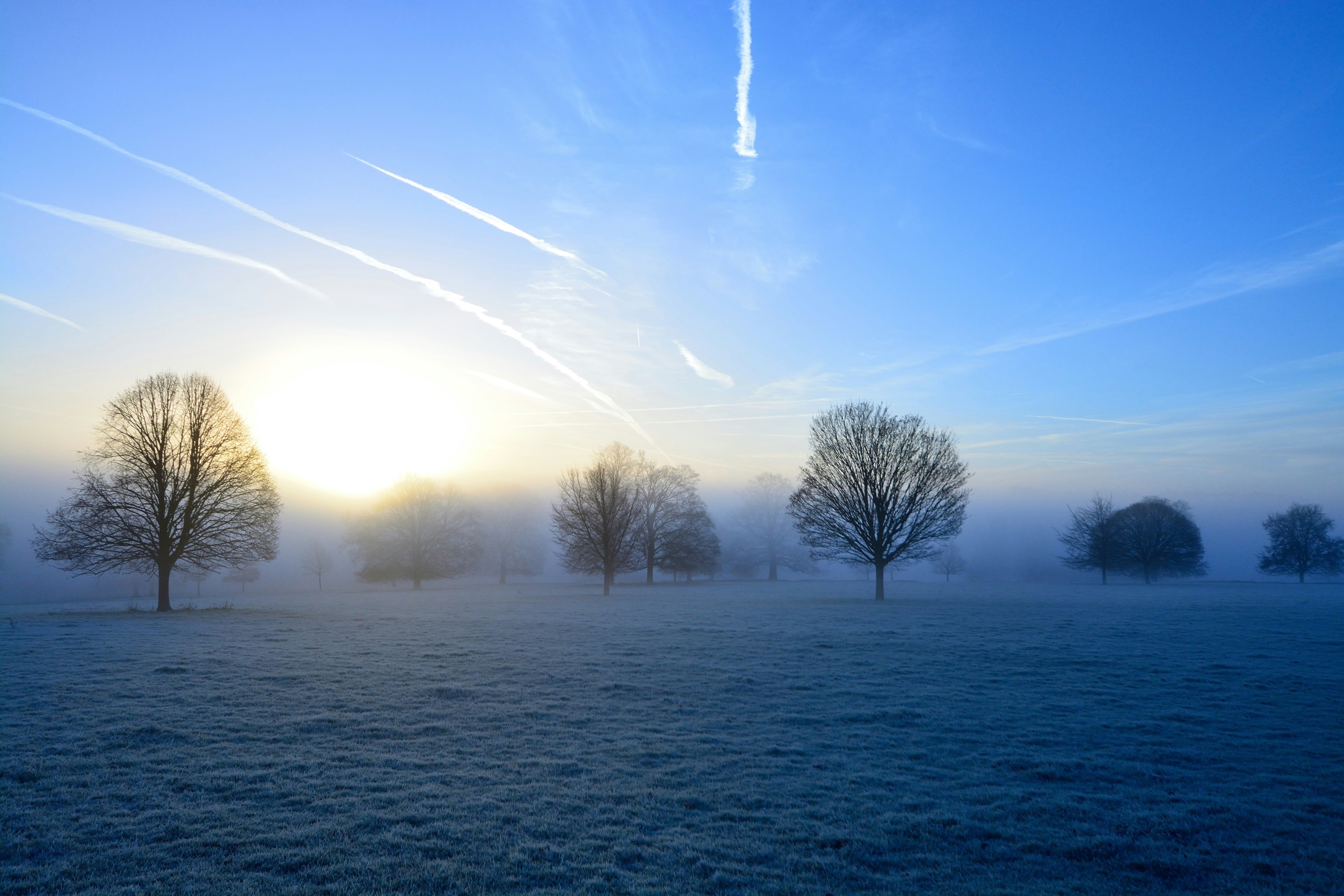 Contrails in a cold frosty sky