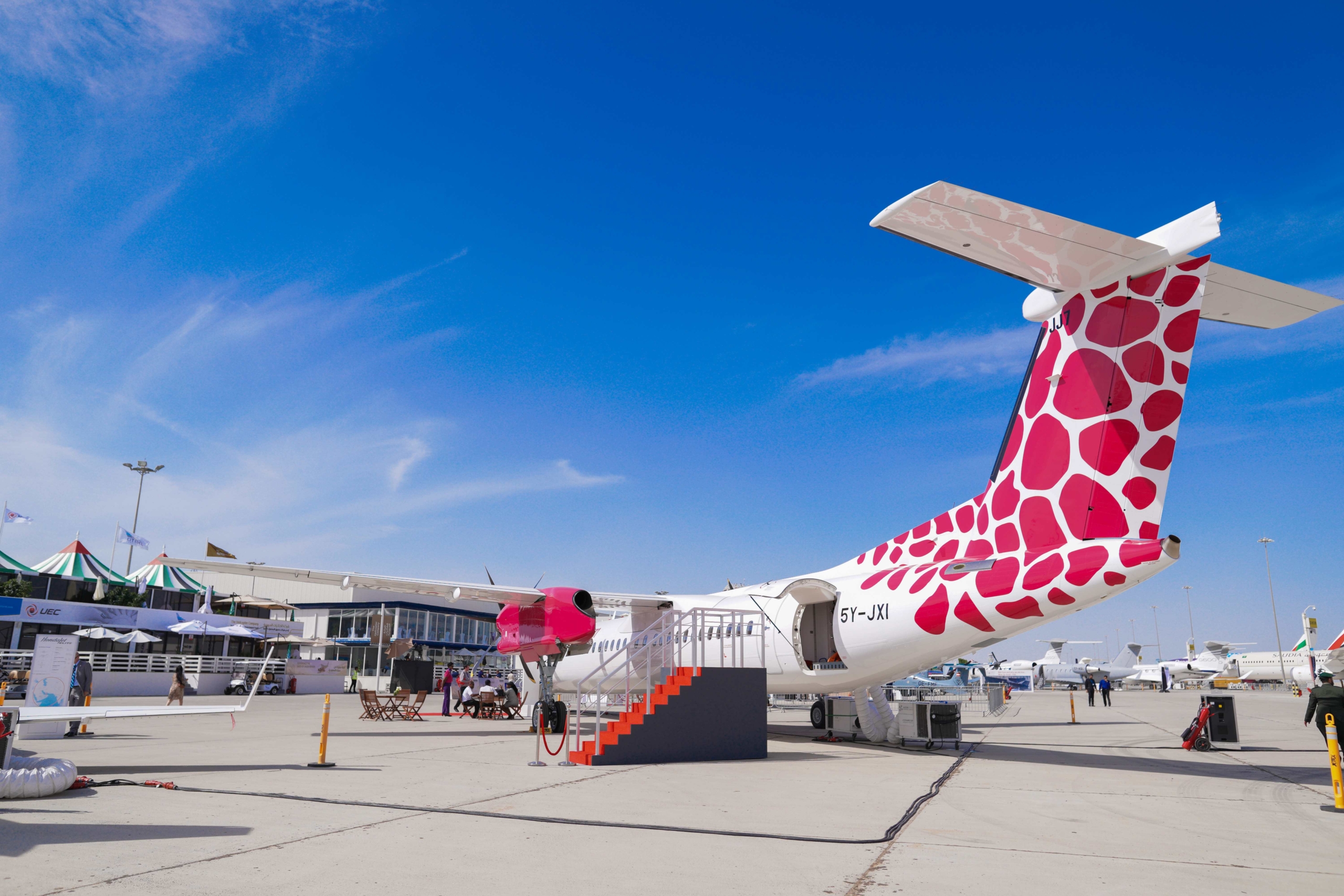 Jambojet aircraft parked at the airport