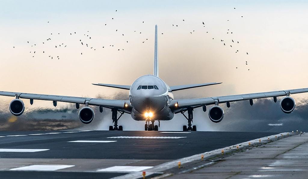 Legend Airlines Airbus A340 for Spicejet