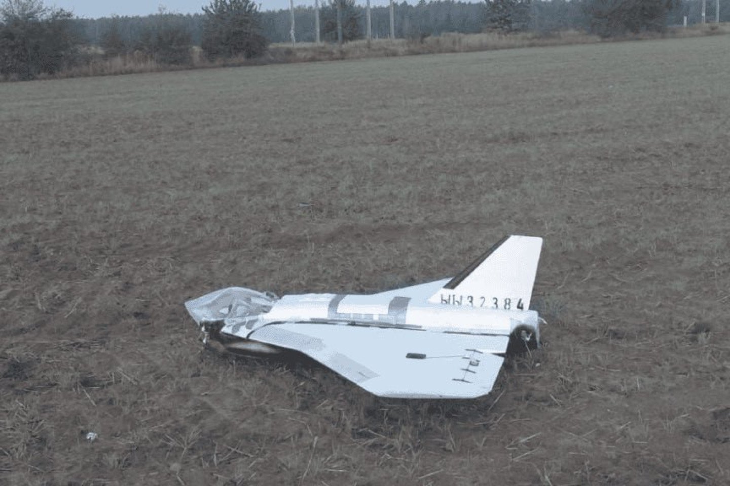 Russian Gerbera drone