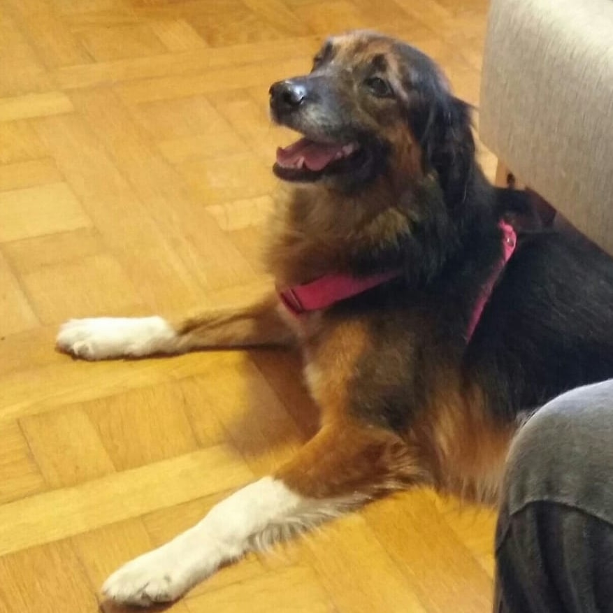 Mona has been missing since she ran away at Ezeiza Airport in Buenos Aires in 2019.