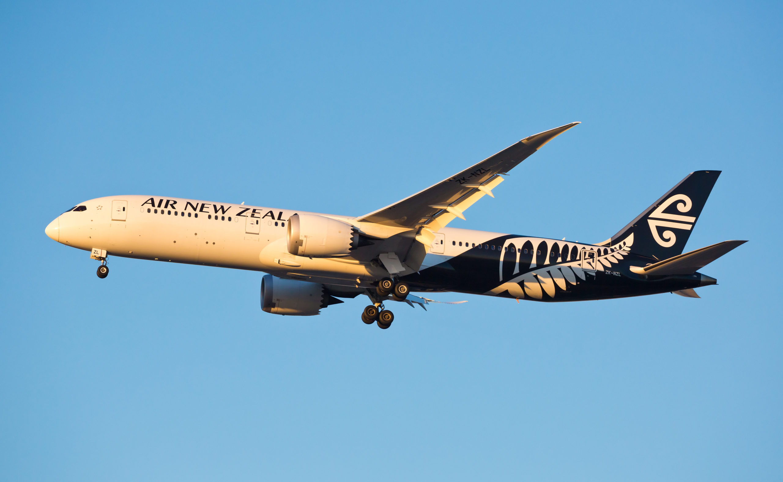Air New Zealand 787
