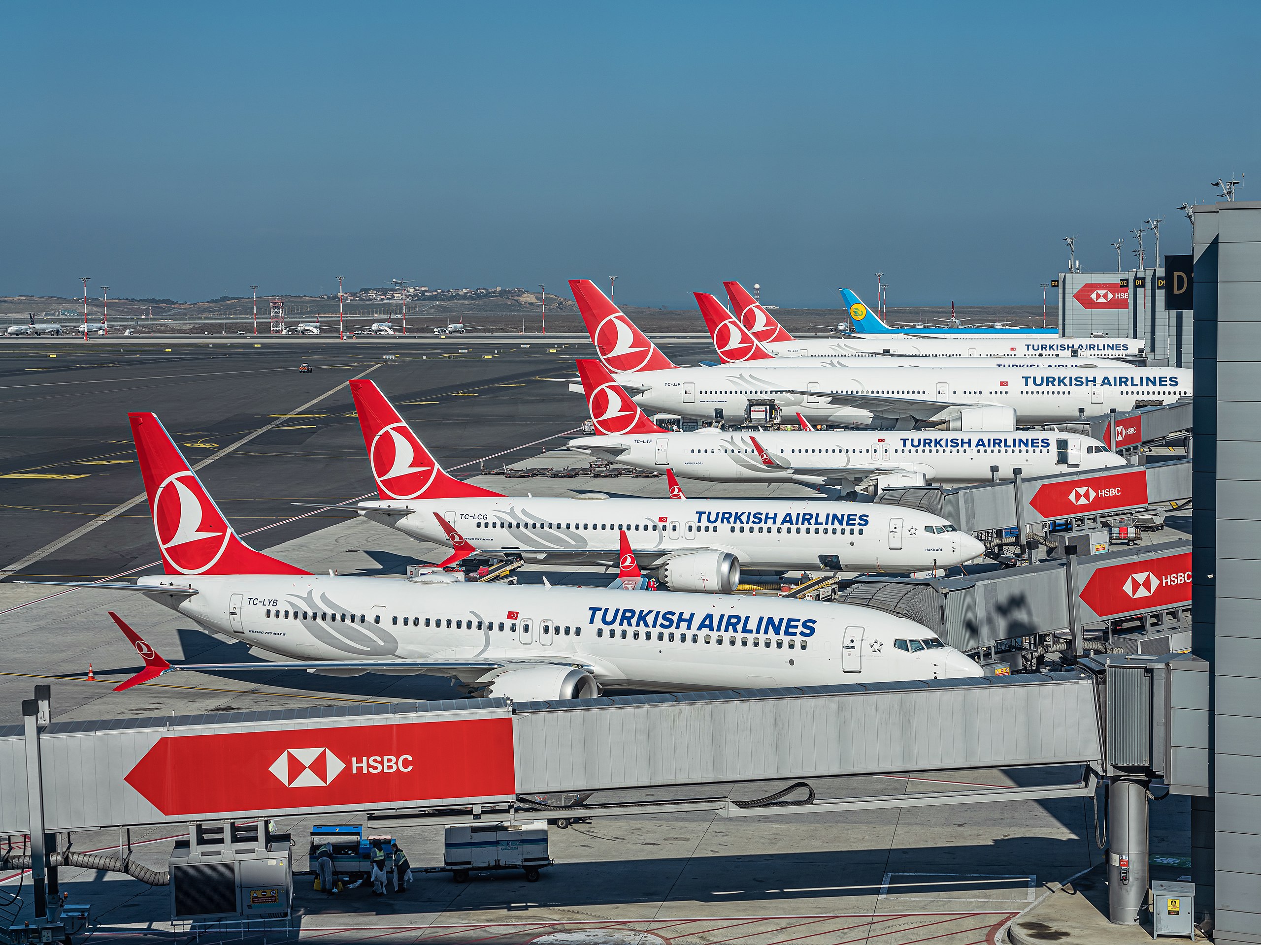 Multiple Turkish Airlines aircraft with distinctive red tail liveries are parked at airport gates with jet bridges connected, viewed from inside a terminal with HSBC advertising visible on the gate area.