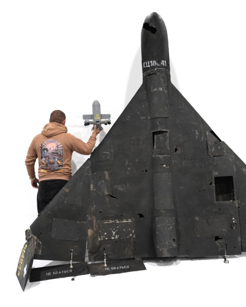 Wild Hornets with interceptor drone and Russian Shahed 