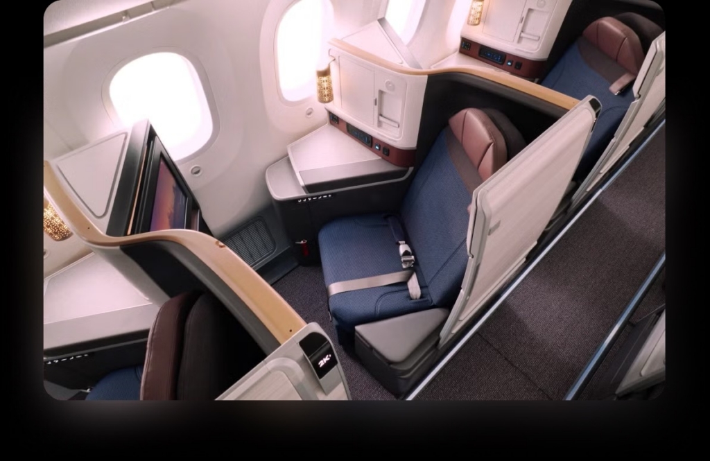 Air India Boeing 787 BUsiness class