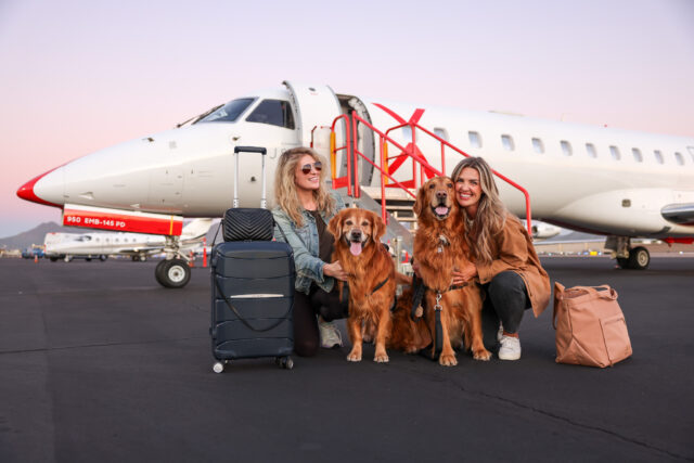 JSX Petco partnership introduces VIP amenities for pet air travel.