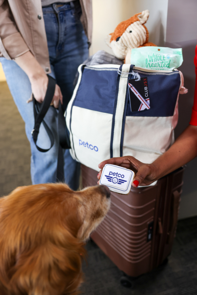 A very good dog gets VIP treatment flying with JSX