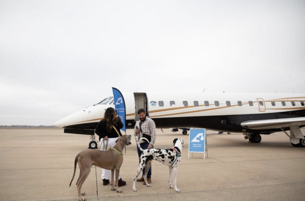 RetrievAir large dogs boarding an aircraft for a flight