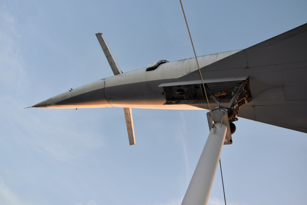 Tupolev Tu-144 canards