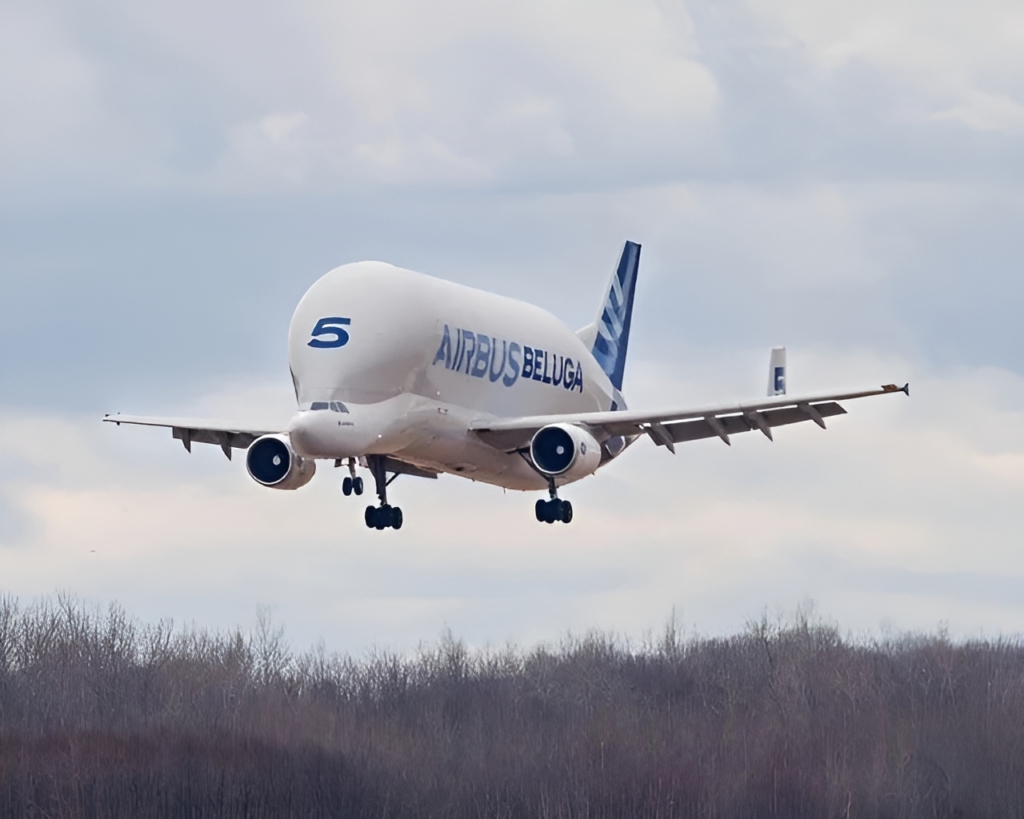 The final flight of the last Airbus BelugaST