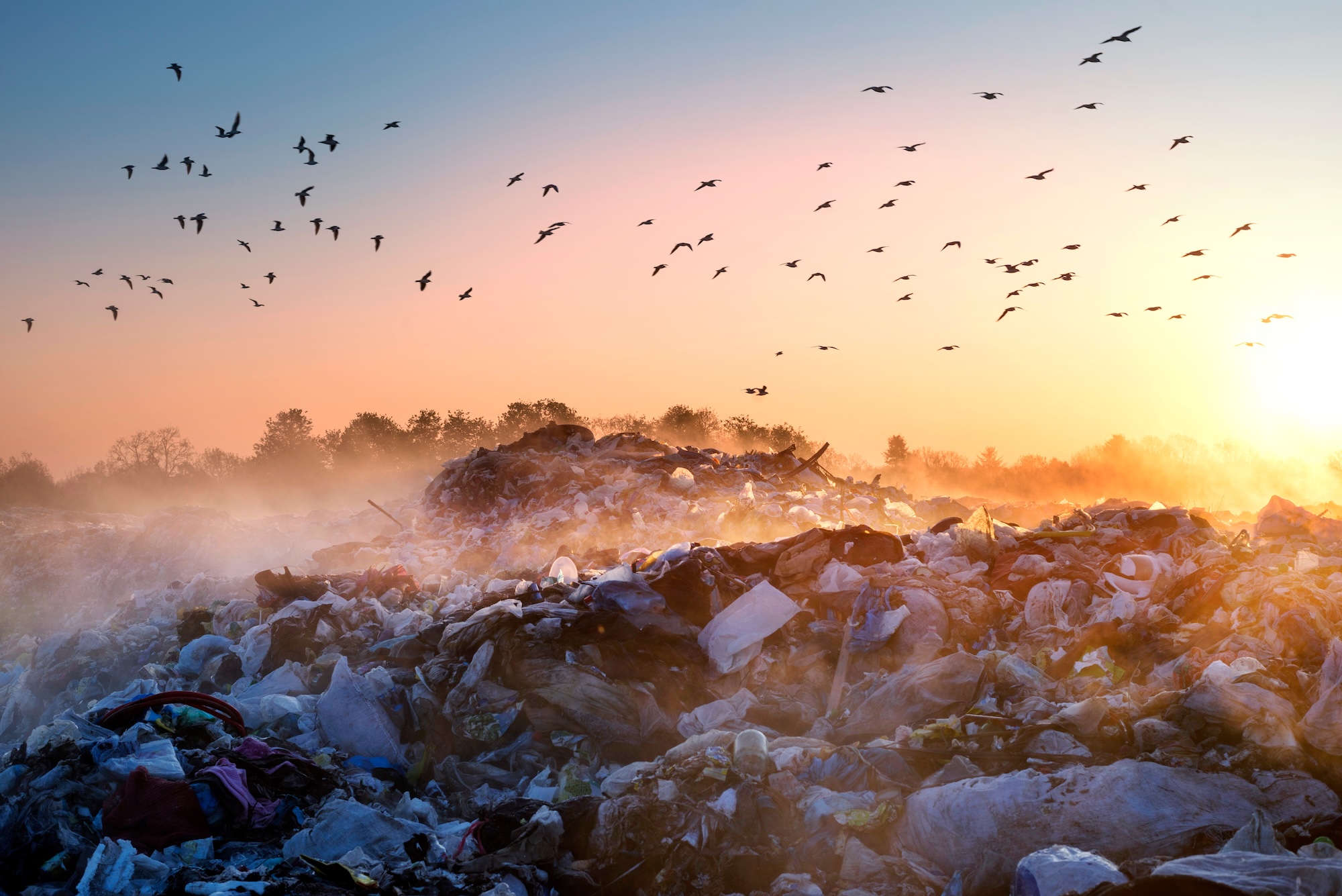 beautiful foggy dawn of the Sun over a huge field of urban garbage, saturated with poisonous fumes of decomposition of organic waste and household chemicals