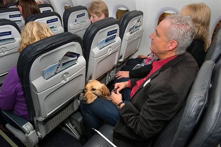 Alaska Airlines dog pet travel