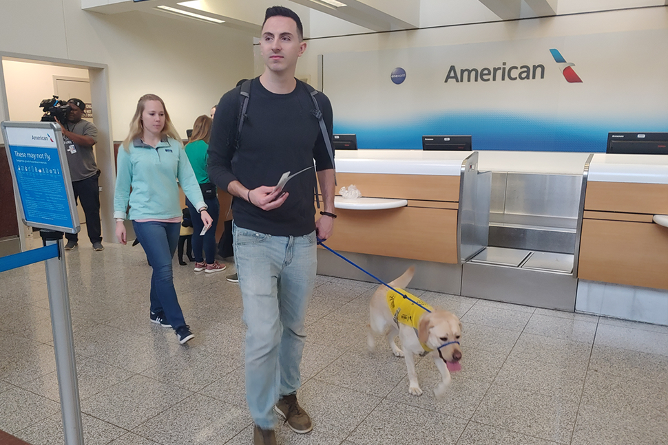 American Airlines dogs on board