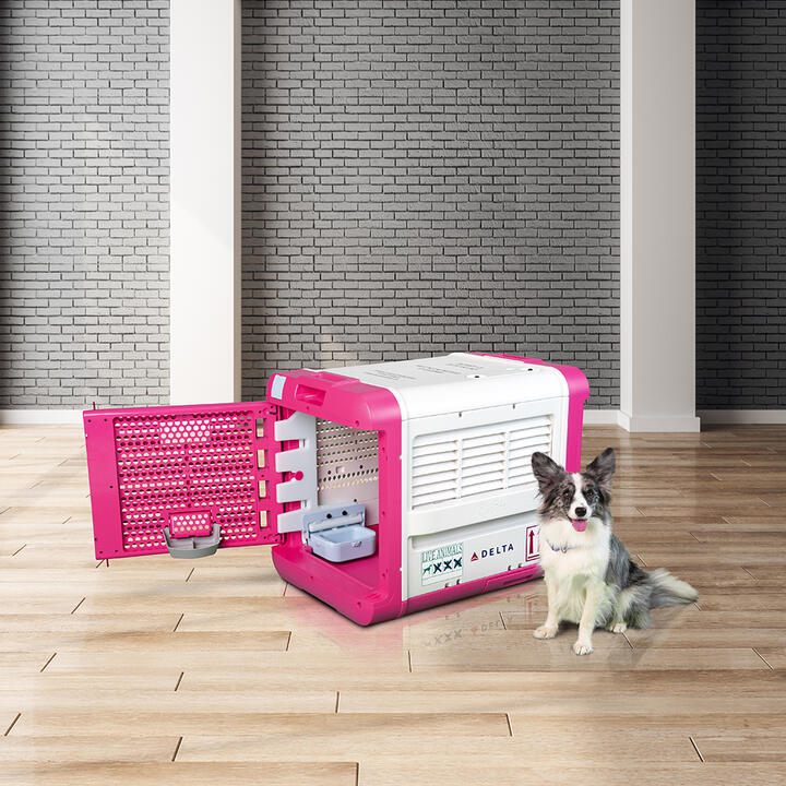 Delta Air Lines pet travel