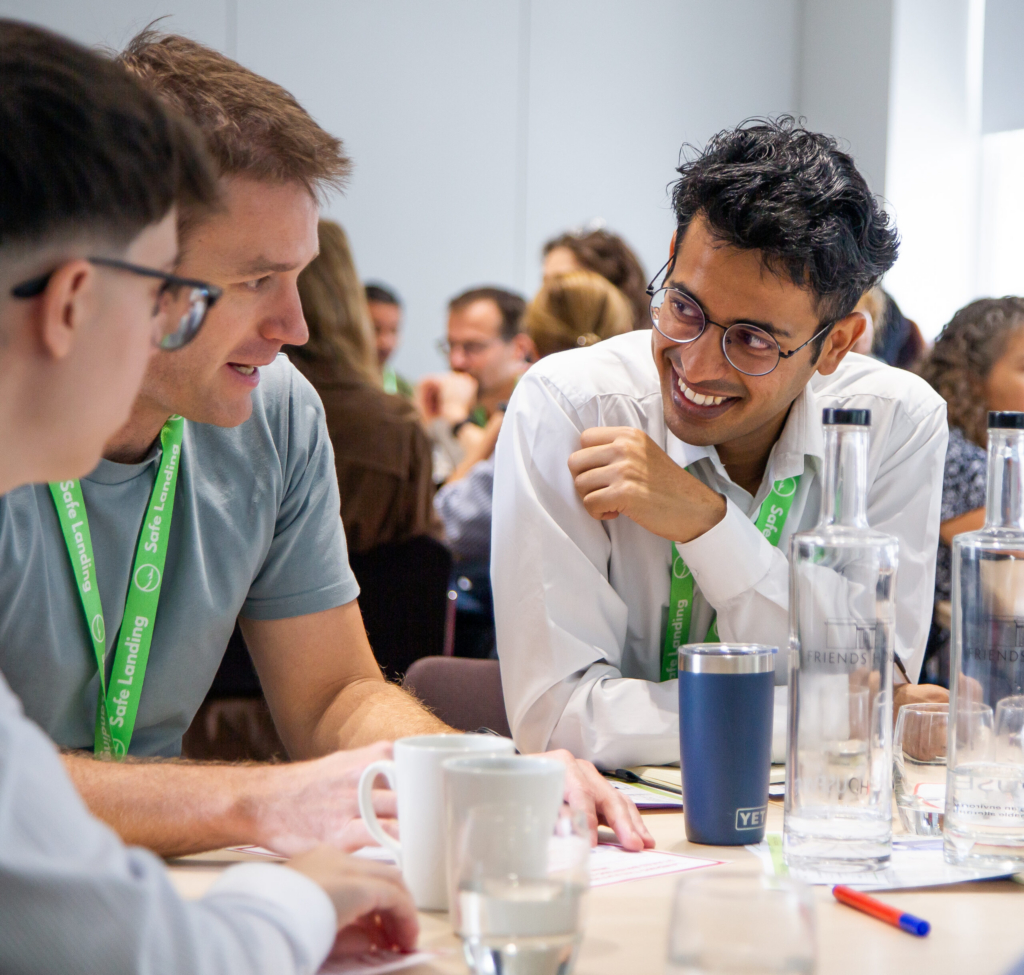 Safe Landing Visioning Assembly