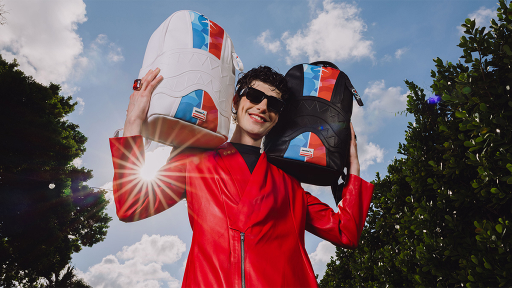 American Airlines centenial backpacks