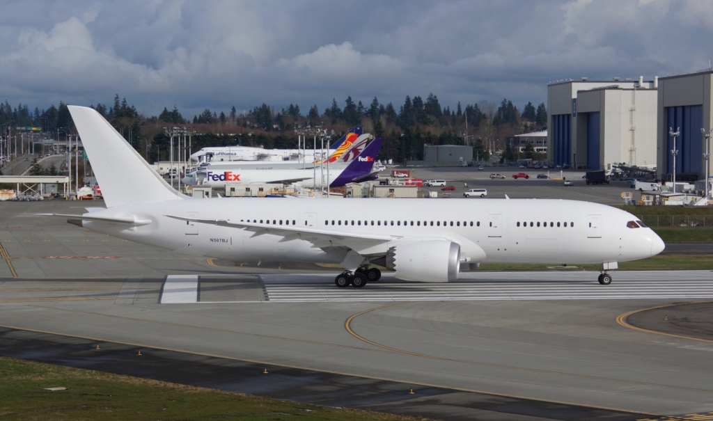 Boeing 787-8 white tail