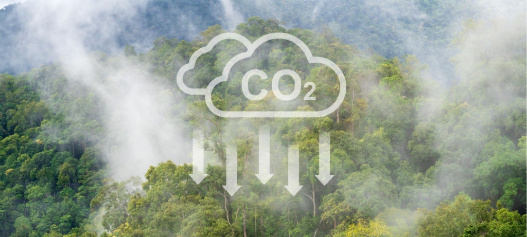 Carbon offsetting - stock.adobe.com