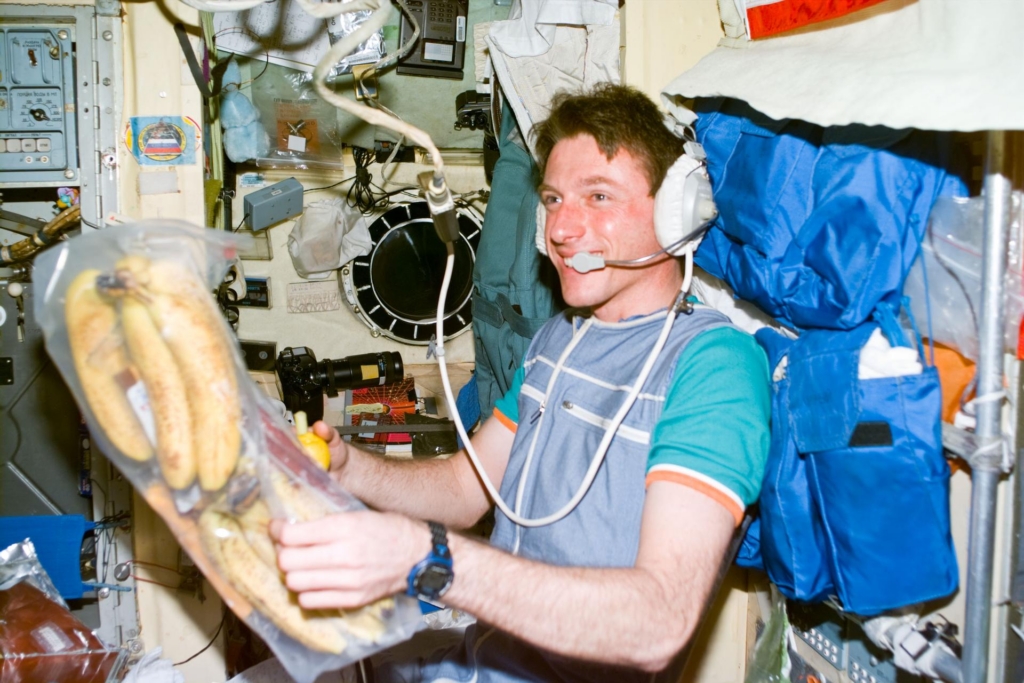 Michael Foale on the ISS