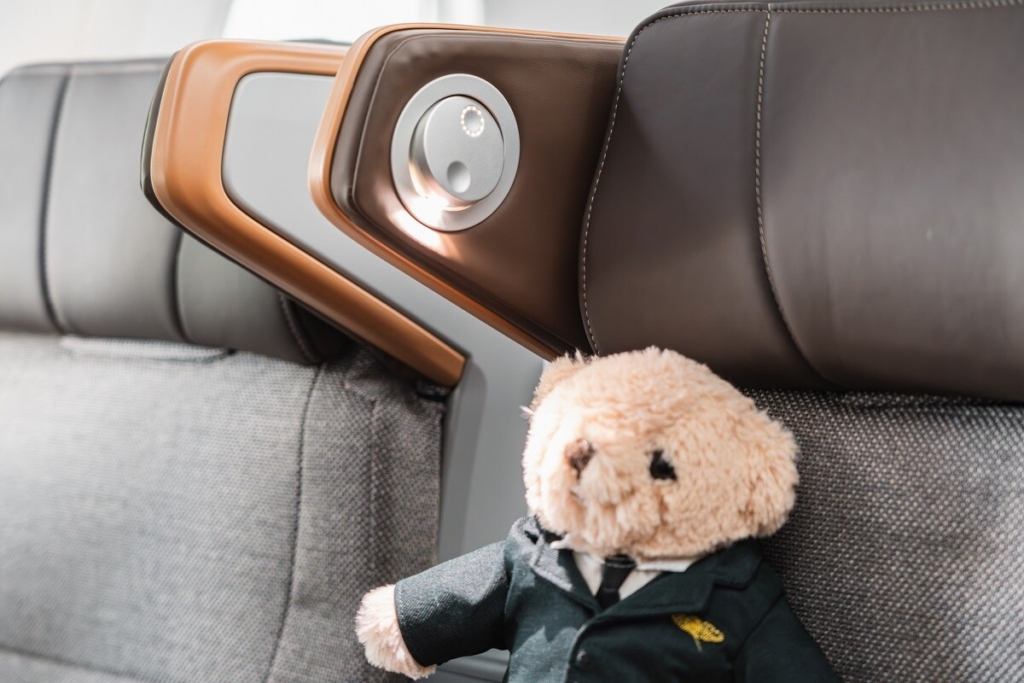 EVA Air 787-9 premium economy