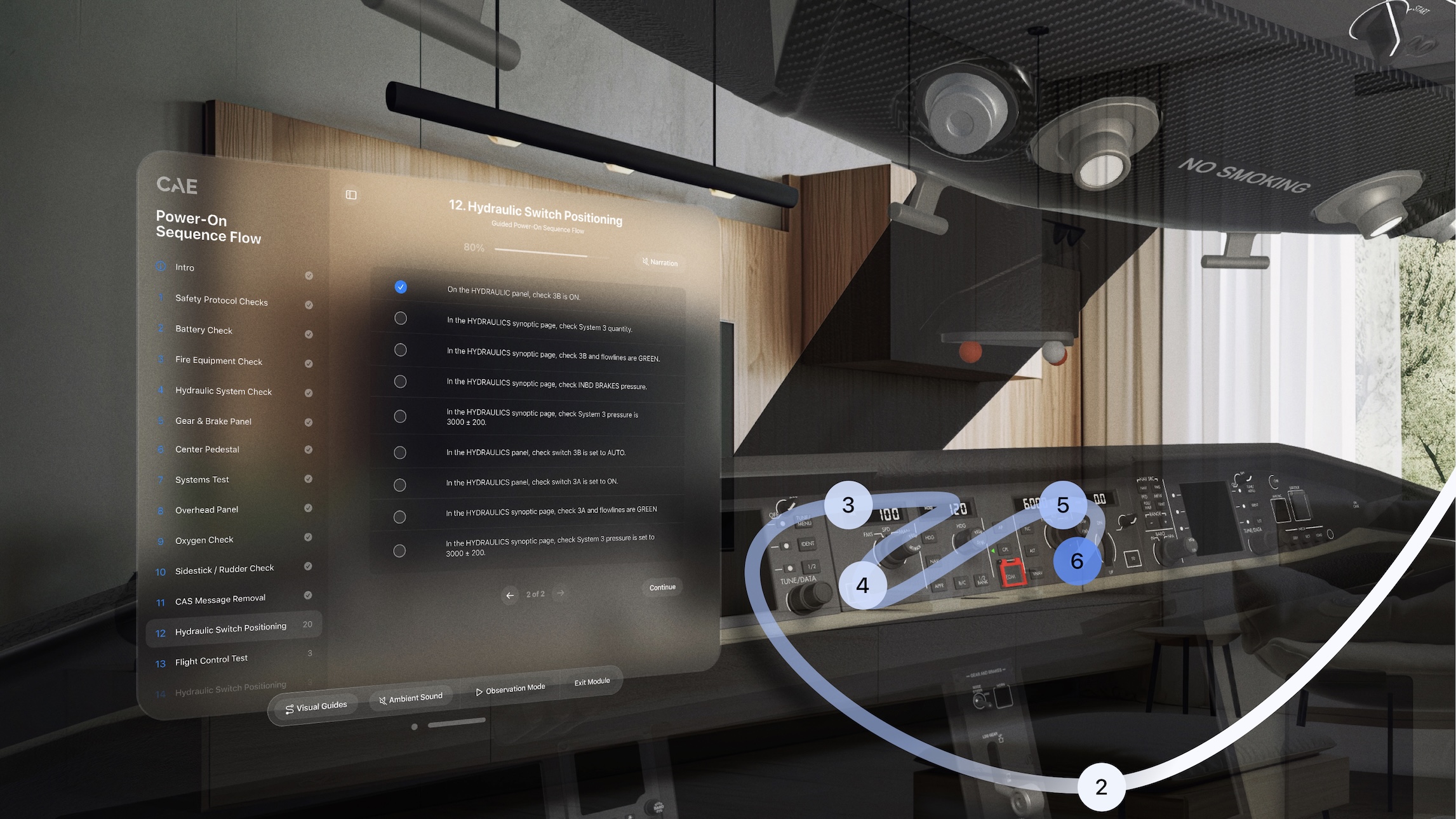 CAE use of the Apple Vision Pro