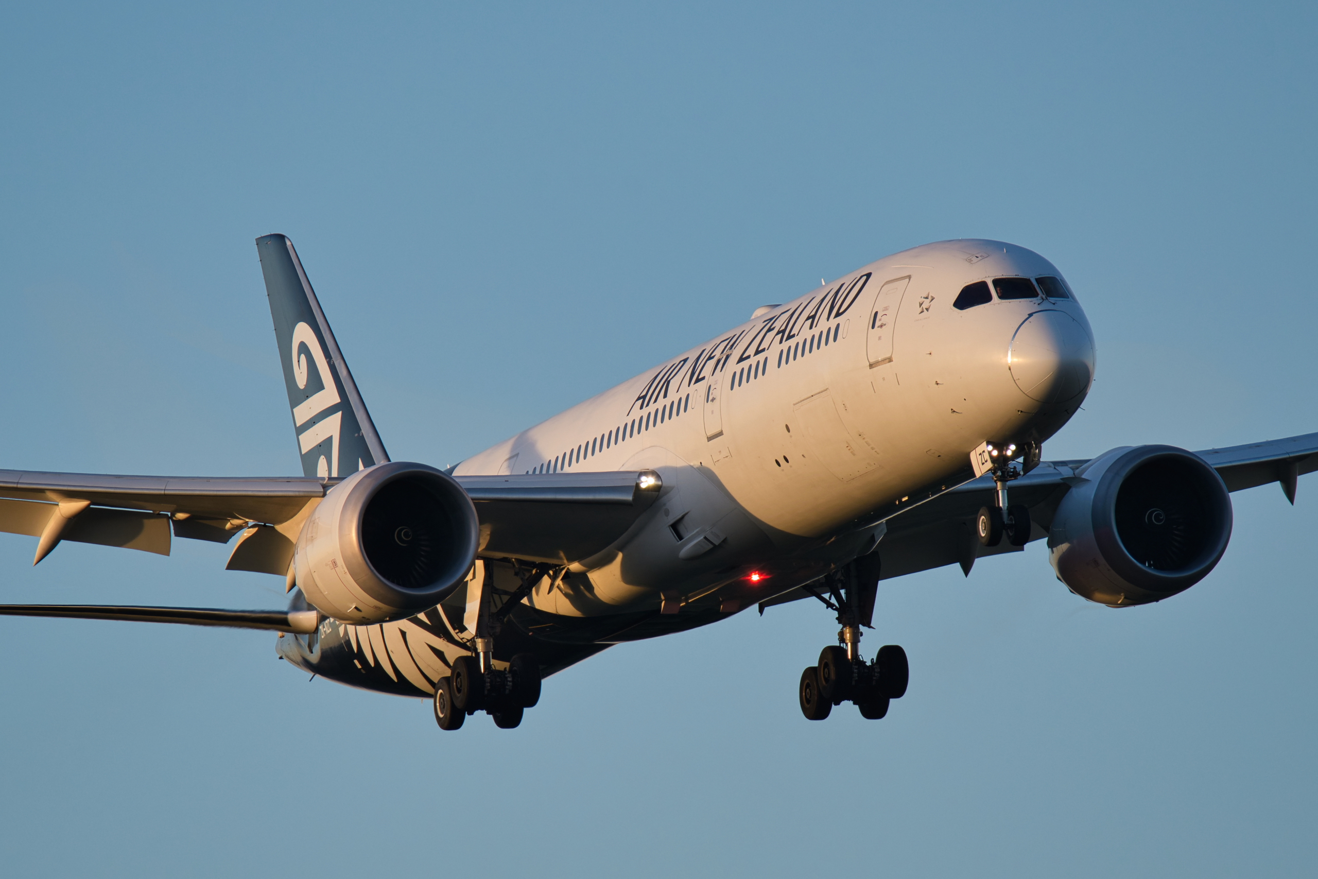 Air New Zealand 787