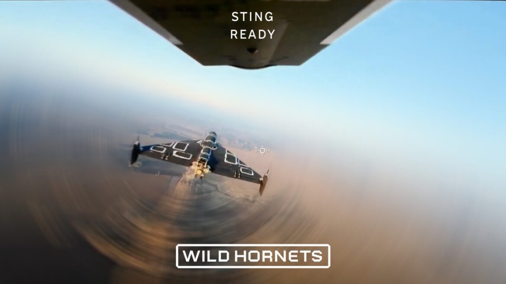 Wild Hornets