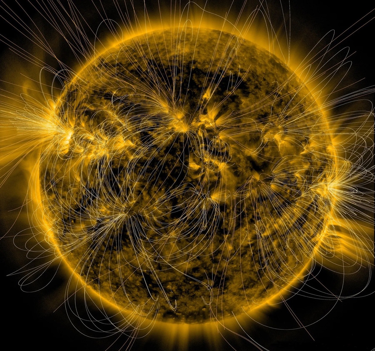 A depiction of the Sun’s magnetic fields is overlaid on an image of the Sun captured in extreme ultraviolet light by NASA’s Solar Dynamics Observatory on March 12, 2016.