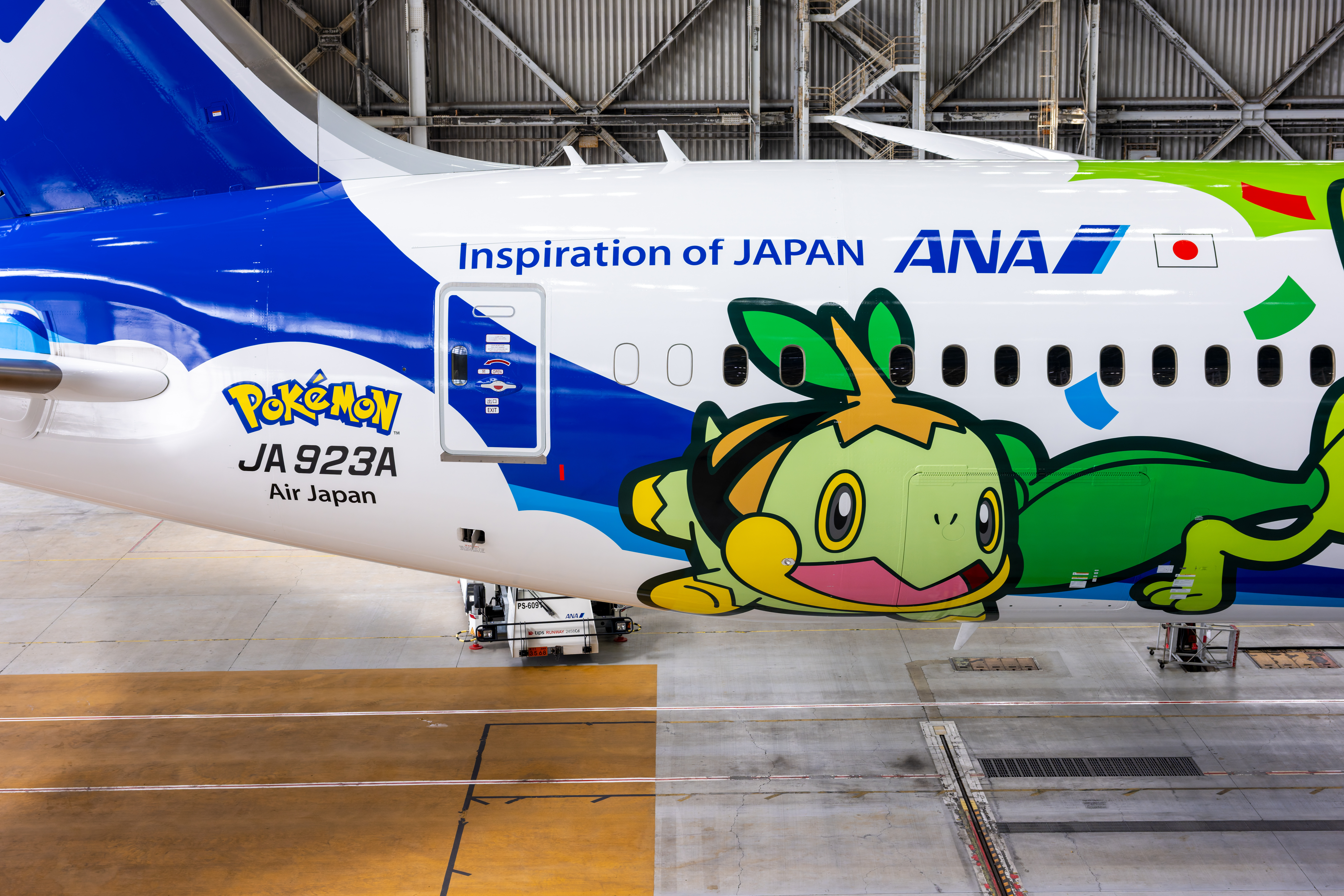ANA Green Pokemon Jet