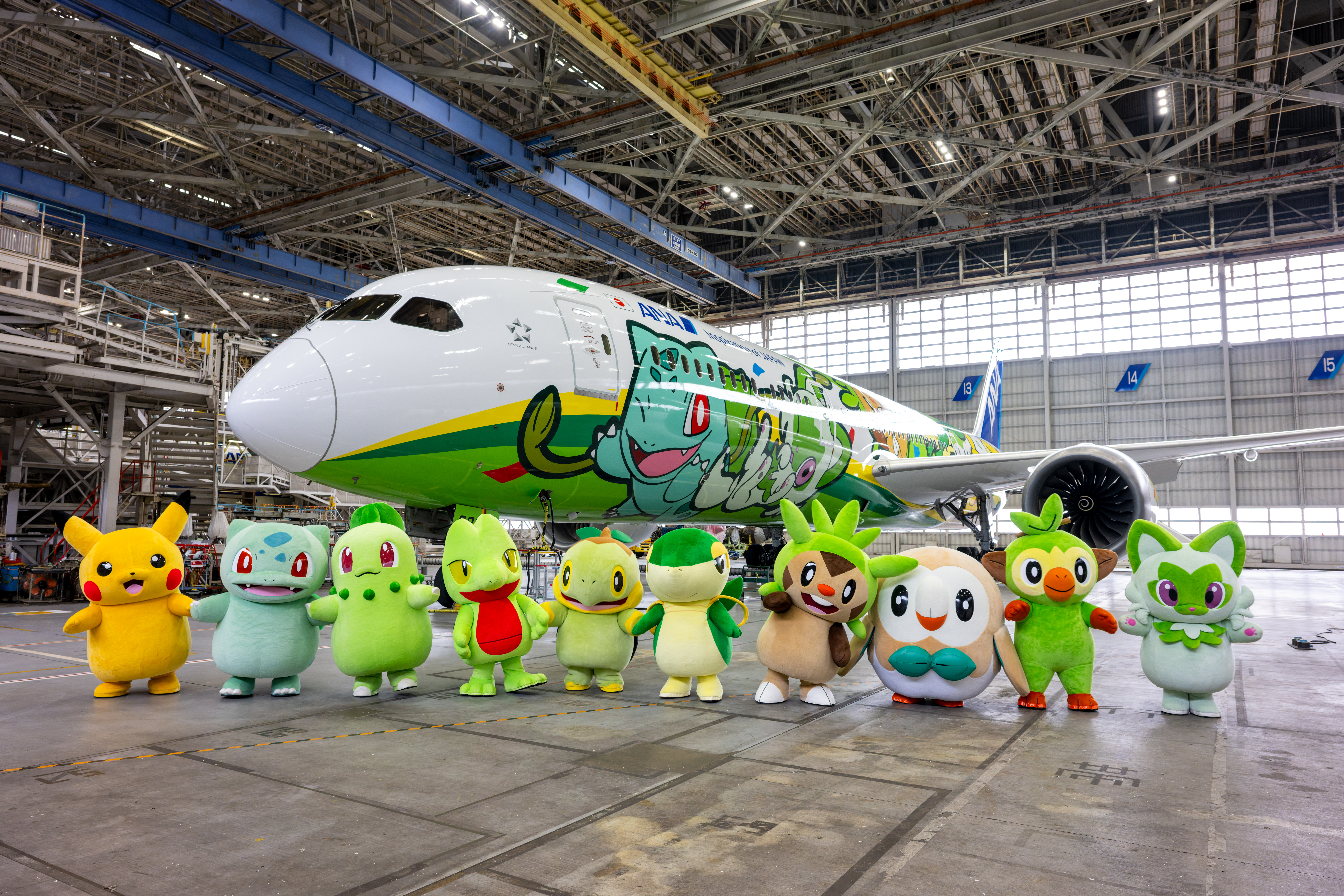 ANA Green Pokemon Jet