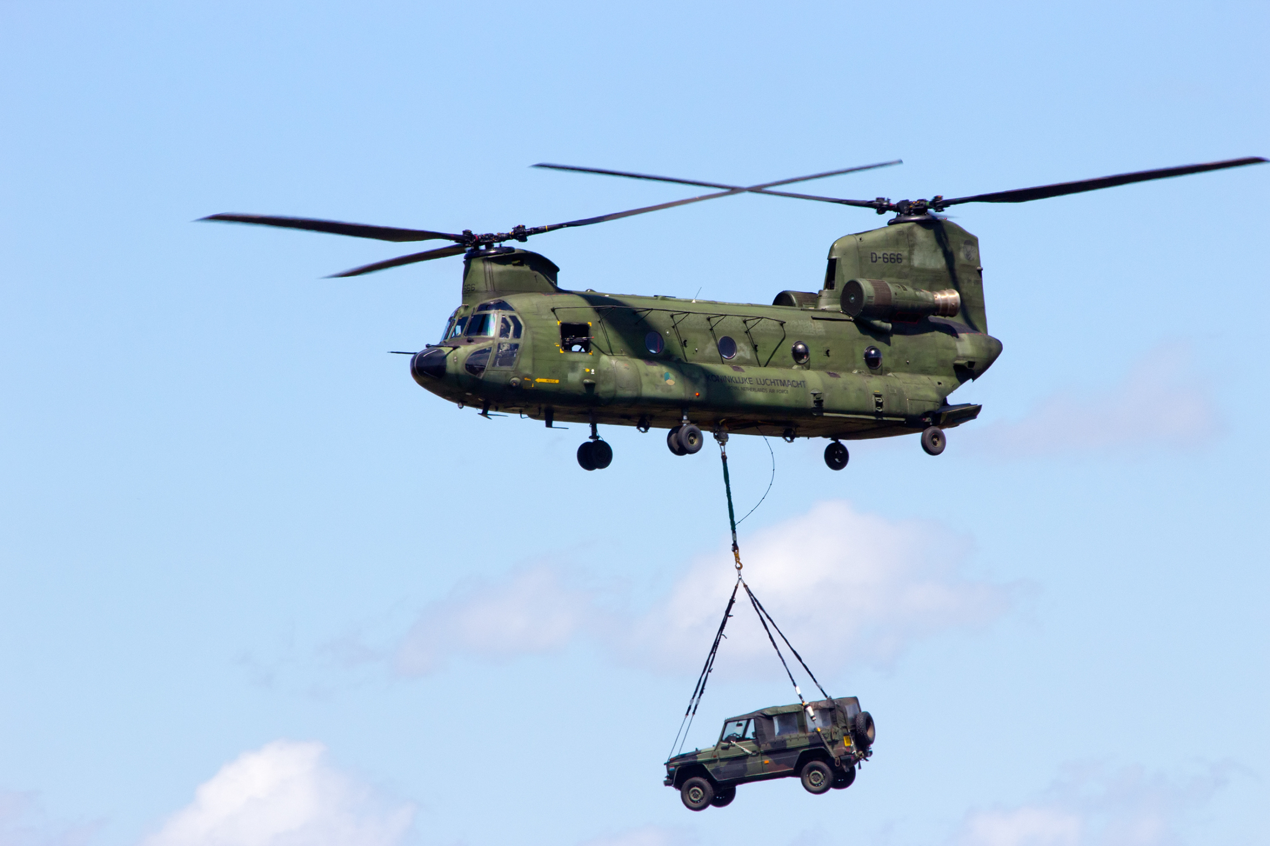 Chinook