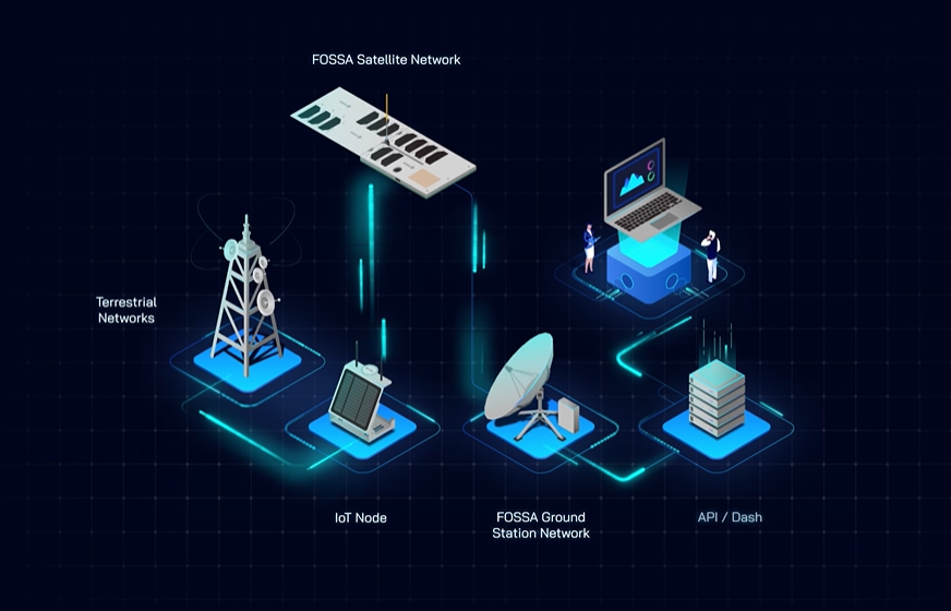 Fossa Systems