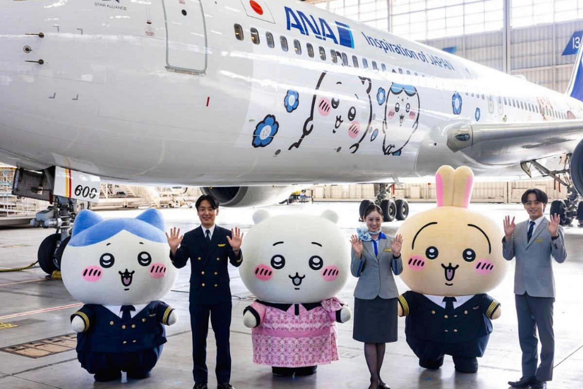 ANA Chiikawa themed jet