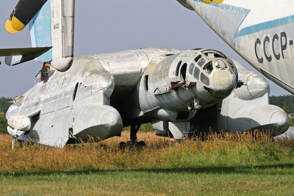 Bartini Beriev VVA-14